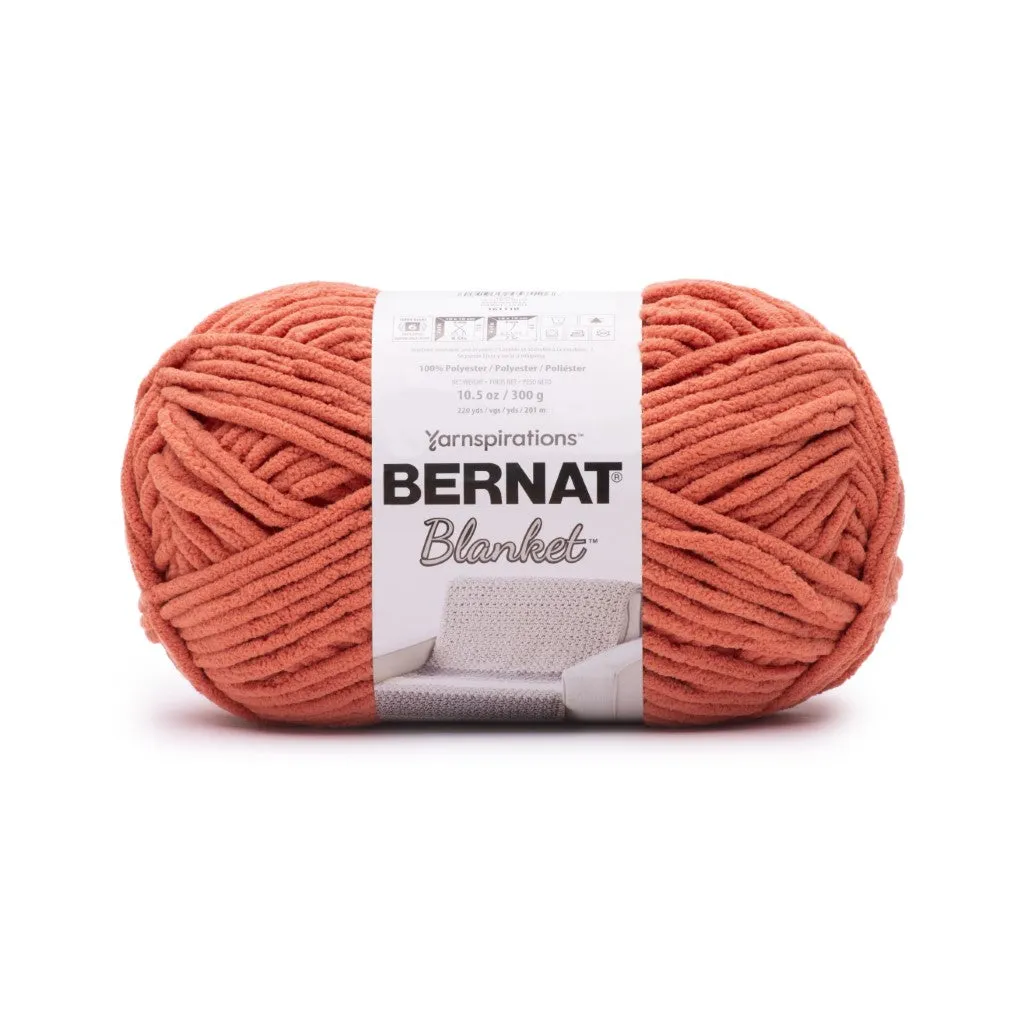 Bernat Blanket Yarn (300g/10.5oz) - Discontinued Shades