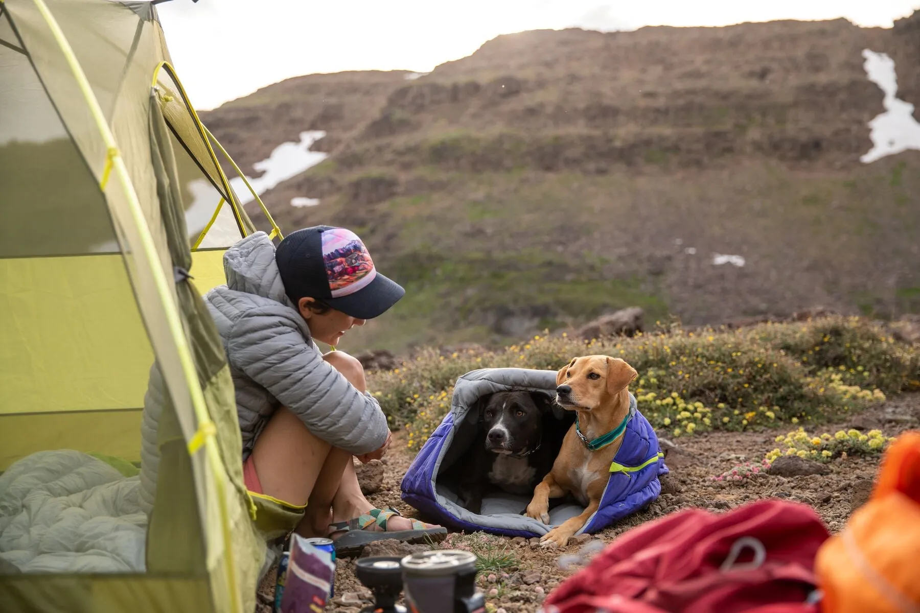 Highlands Dog Sleeping Bag