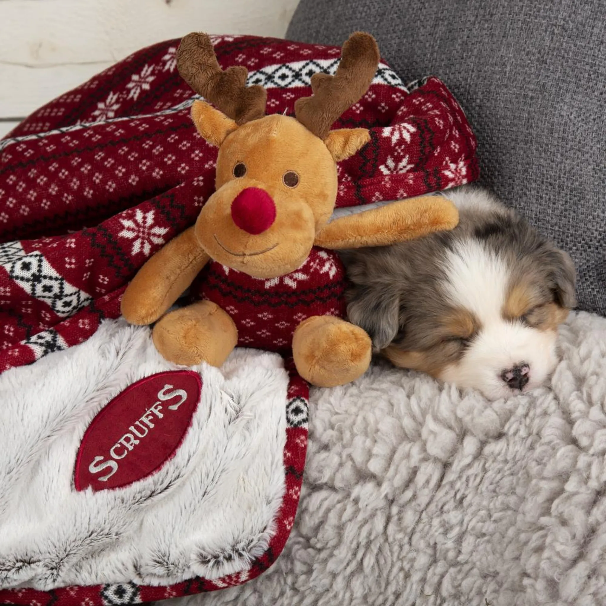 Scruffs Santa Paws Dog Blanket & Reindeer Toy Gift Set